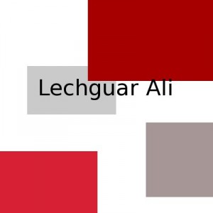 Lechguar Ali